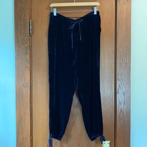 Joie Velvet Pants